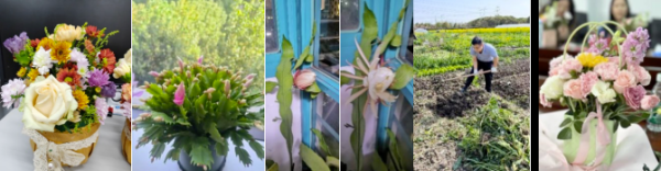 截屏2025-12-03 09.43.43.43.43.png